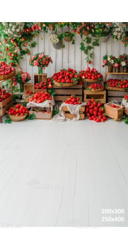 Tło fotograficzne 2860